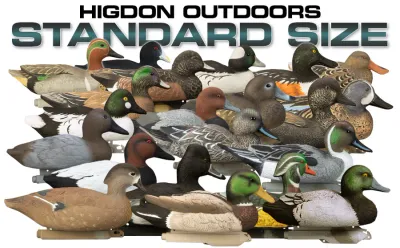 Decoys