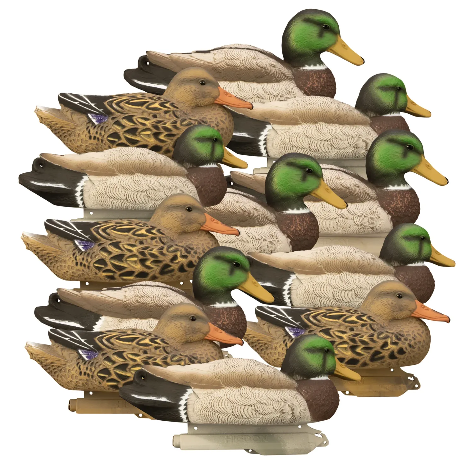 Higdon Standard Mallards