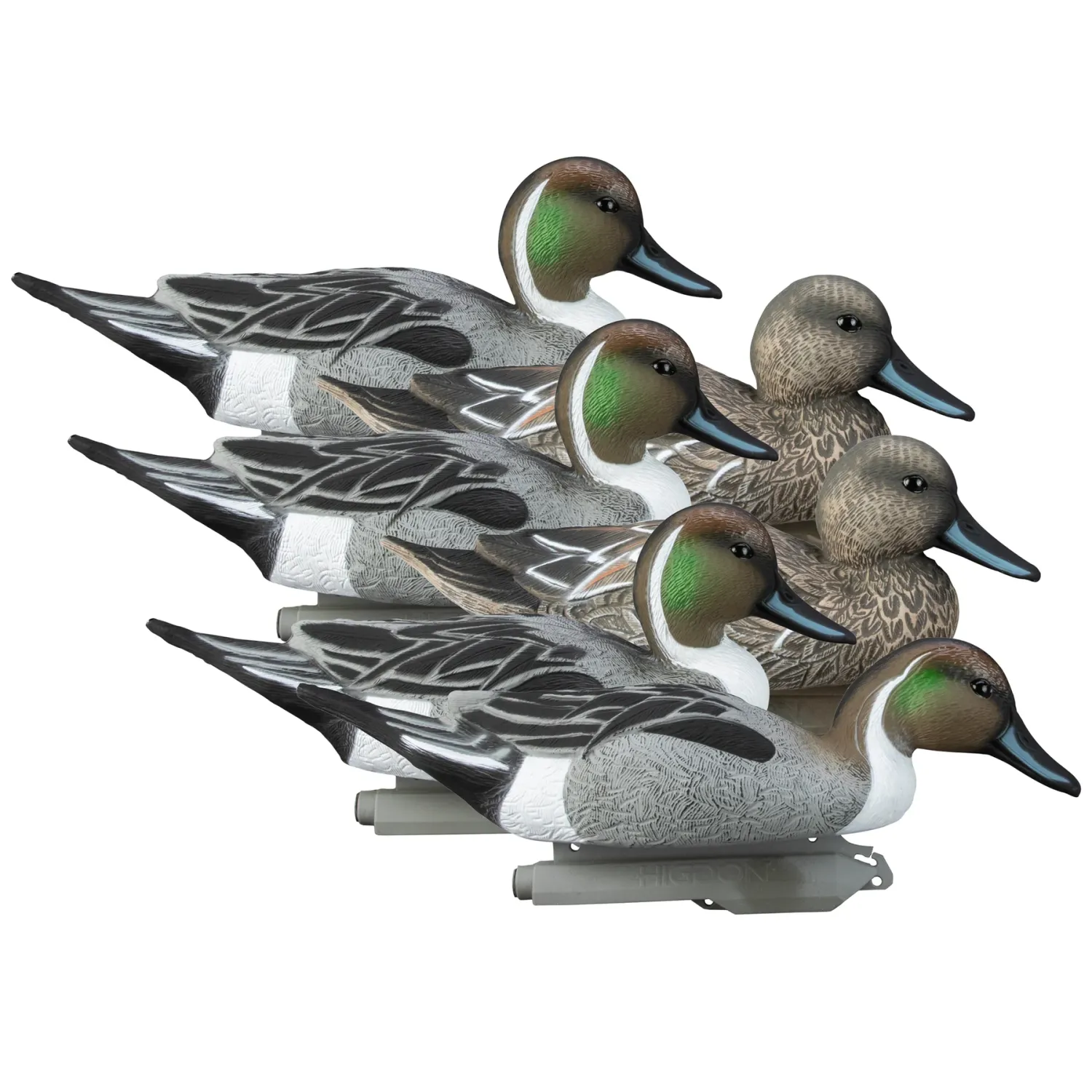 Higdon Standard Pintail