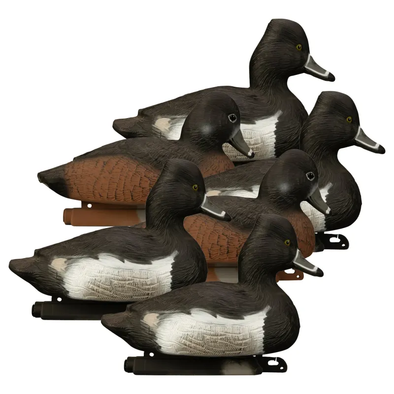 Higdon Standard Ringneck