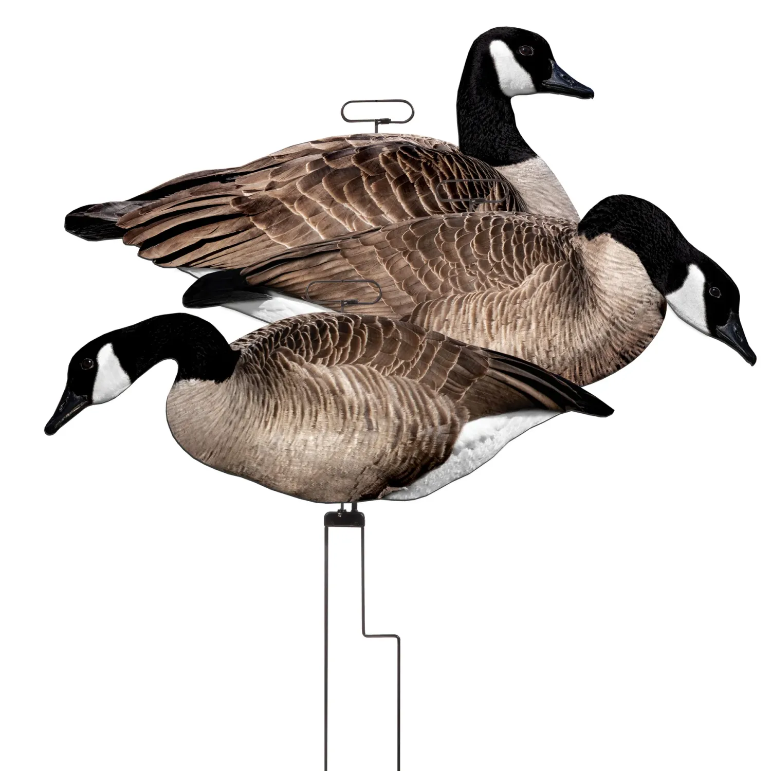 Higdon FLATS Canada Goose Motion Silhouette
