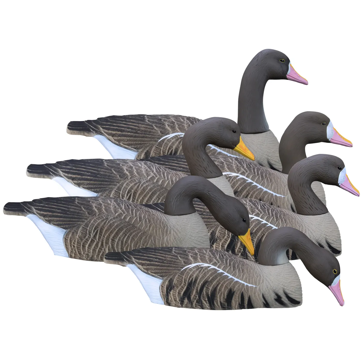 Higdon Full-Size Specklebelly Half-Shell