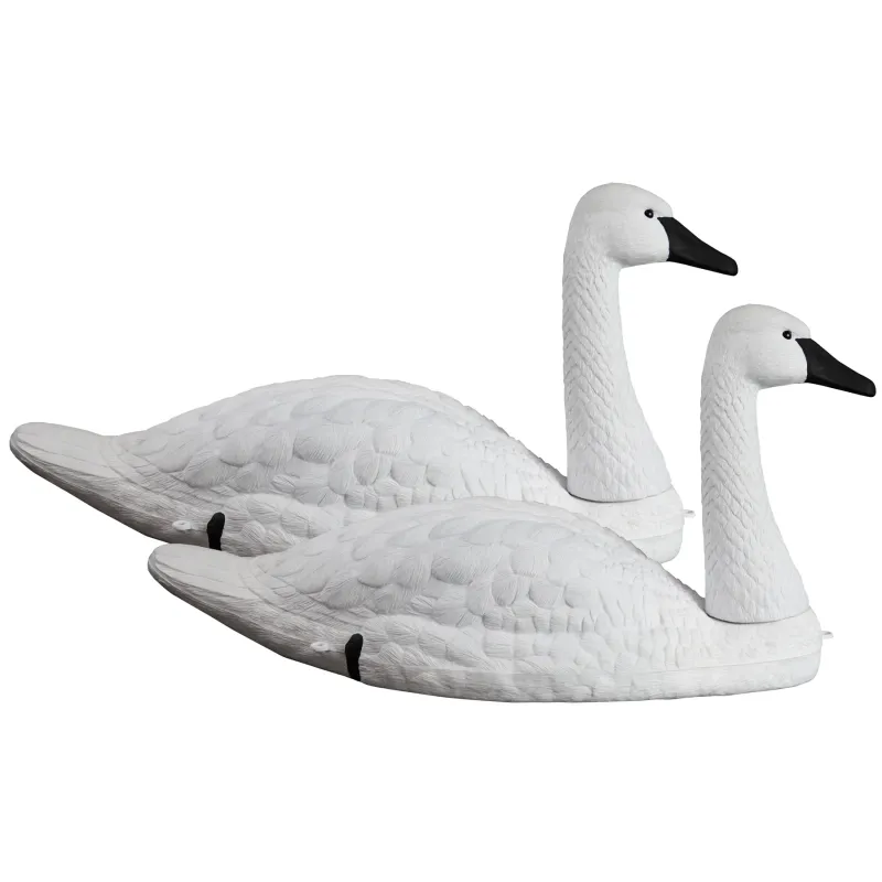 Higdon Tundra Swan