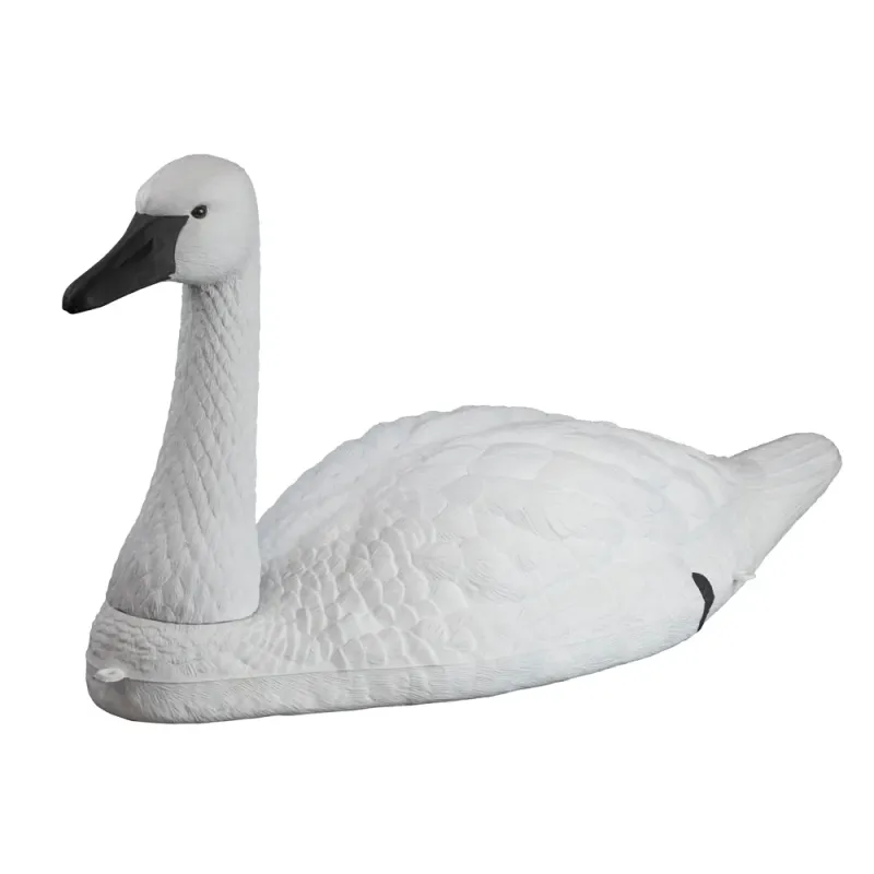 Higdon Standard Tundra Swan