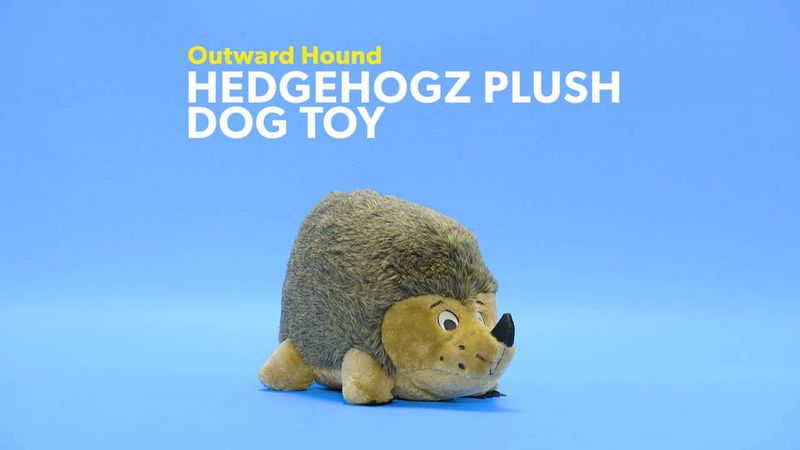 Outward Hound Hedehogz XL