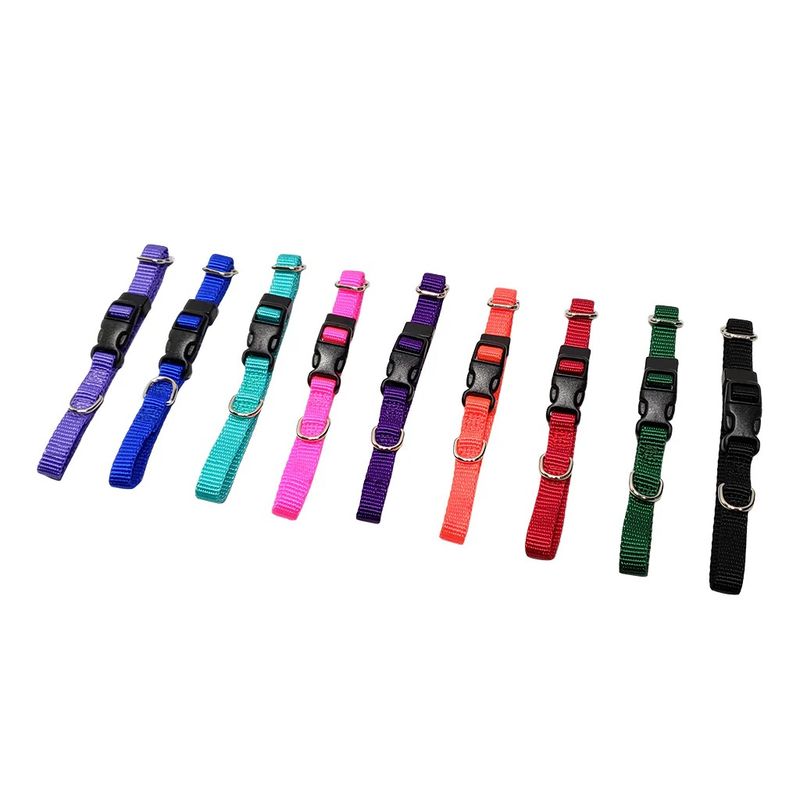 Puppy Collars