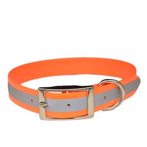 SunGlo D Ring Collar