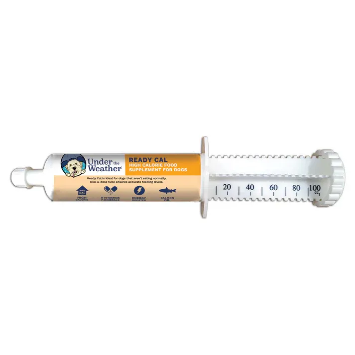Ready Cal High-Calorie Syringe