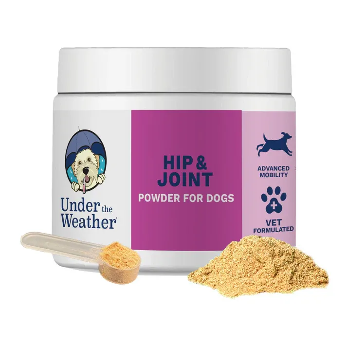Hip &amp; Joint Support