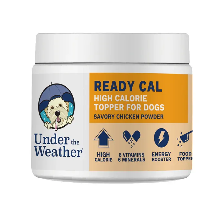 Ready Cal High Calorie Powder
