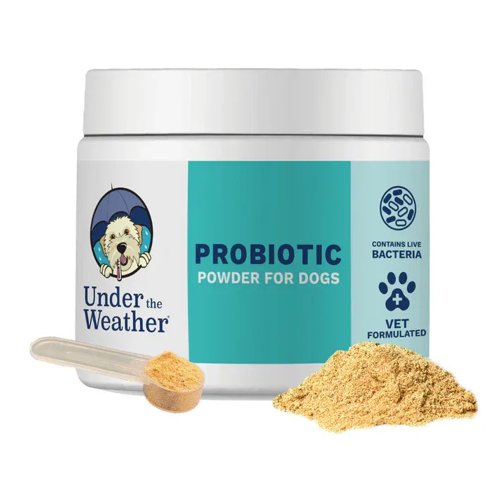 Probiotic Powder