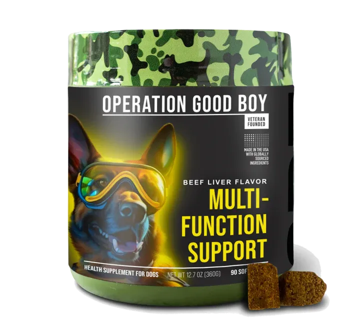 SRE: Multi-Function Support