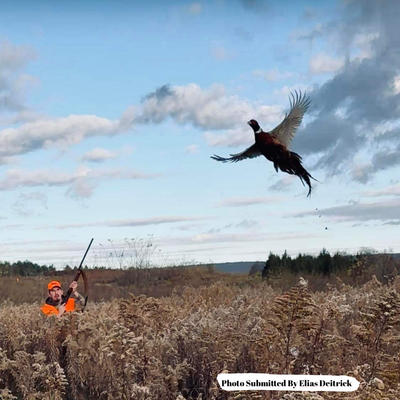 Hunting Equipment