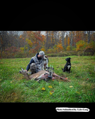 Tuffy