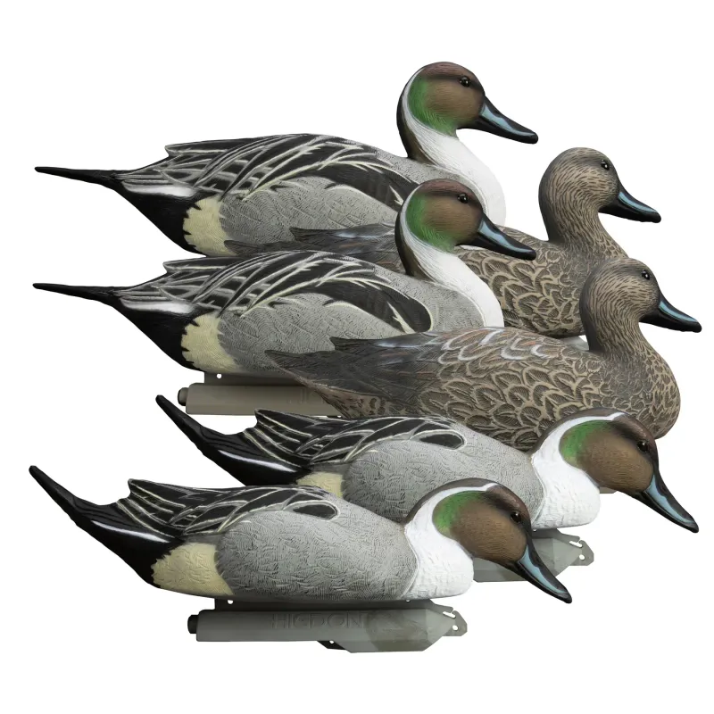 Higdon Battleship Pintail