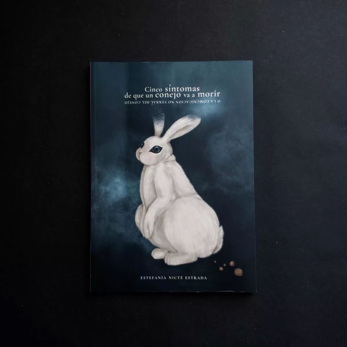 Cinco síntomas de que un conejo va a morir Estefanía Nicté Estrada: Cinco sintomas de que un conejo va a morir. Portada. Quintanilla Ediciones