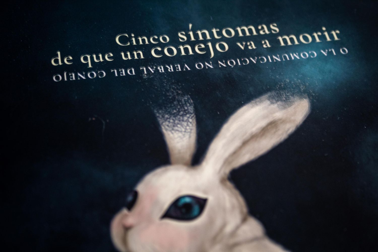Estefanía Nicté Estrada: Cinco sintomas de que un conejo va a morir. Título. Quintanilla Ediciones