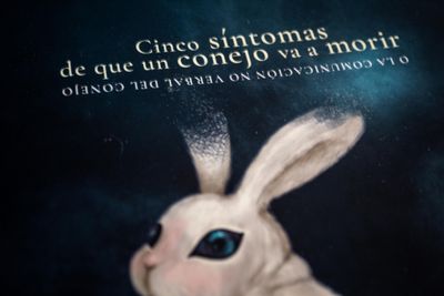 Estefanía Nicté Estrada: Cinco sintomas de que un conejo va a morir. Título. Quintanilla Ediciones