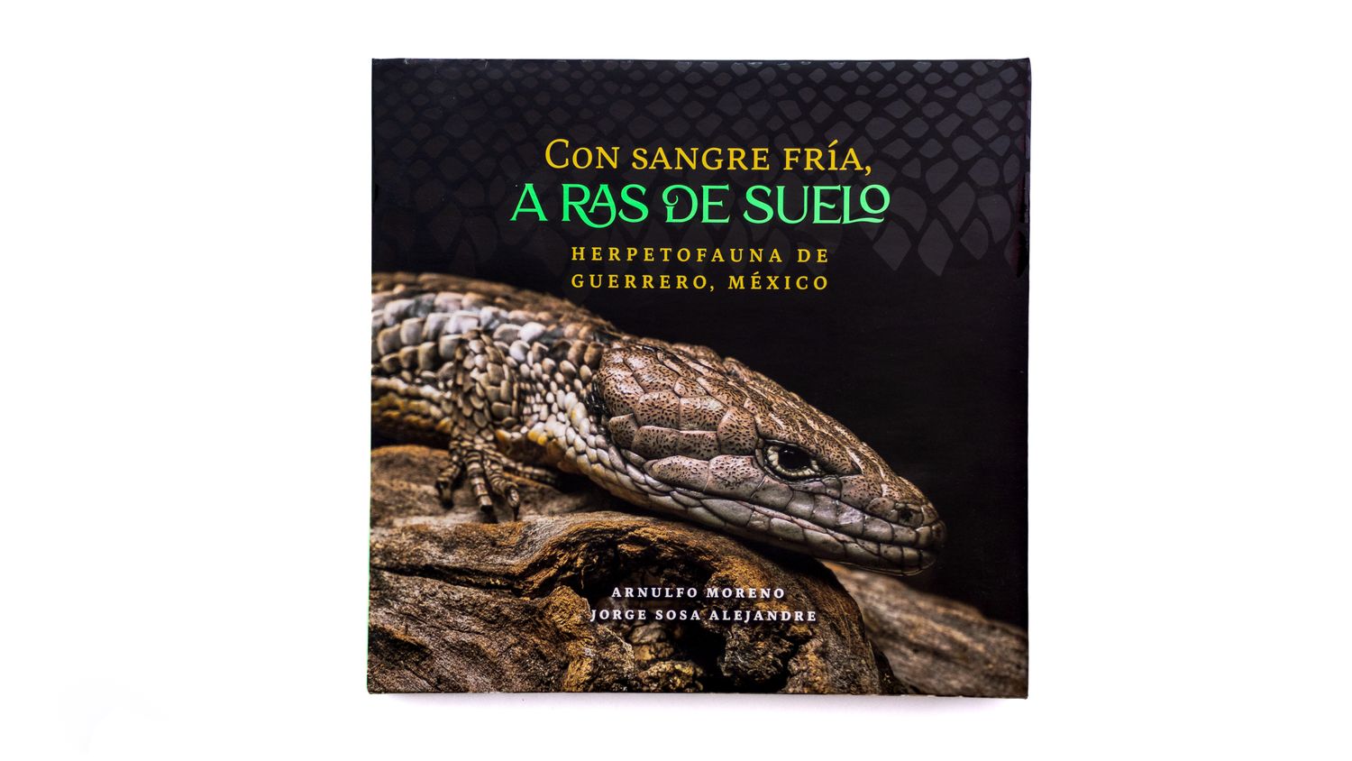Con sangre fría, a ras de suelo. Herpetofauna de Guerrero, México Arnulfo Moreno y Jorge Sosa Alejandre: Con sangre fría, a ras de suelo. Herpetofauna de Guerrero, México. Portada. Quintanilla Ediciones