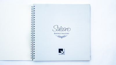 Beatriz Salcedo: Salsario. Portadilla. Quintanilla Ediciones