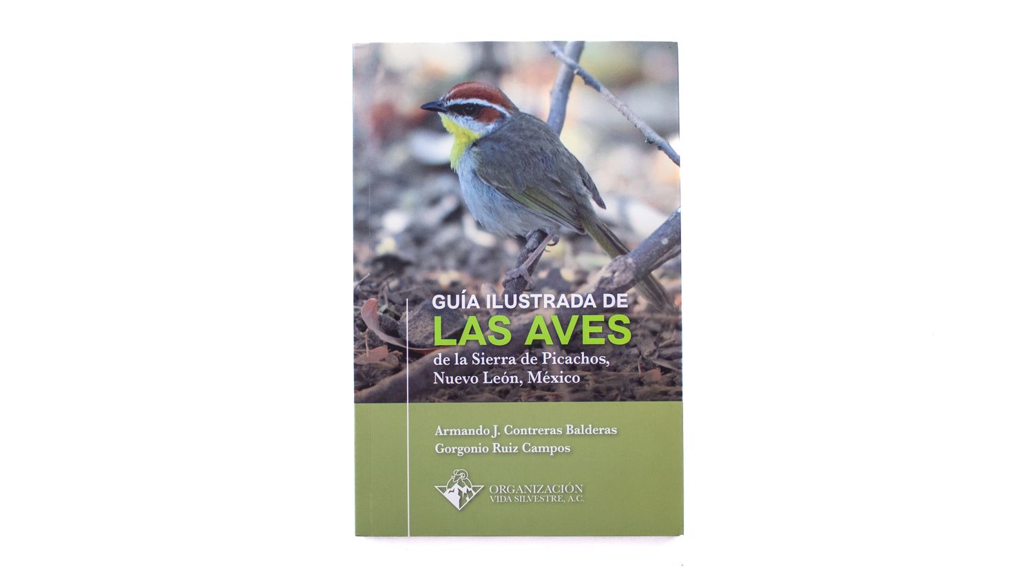 Armando Contreras Balderas y Gorgonio Ruiz Campos: Guía ilustrada de las aves de la Sierra de Picachos, Nuevo León, México. Portada. Quintanilla Ediciones