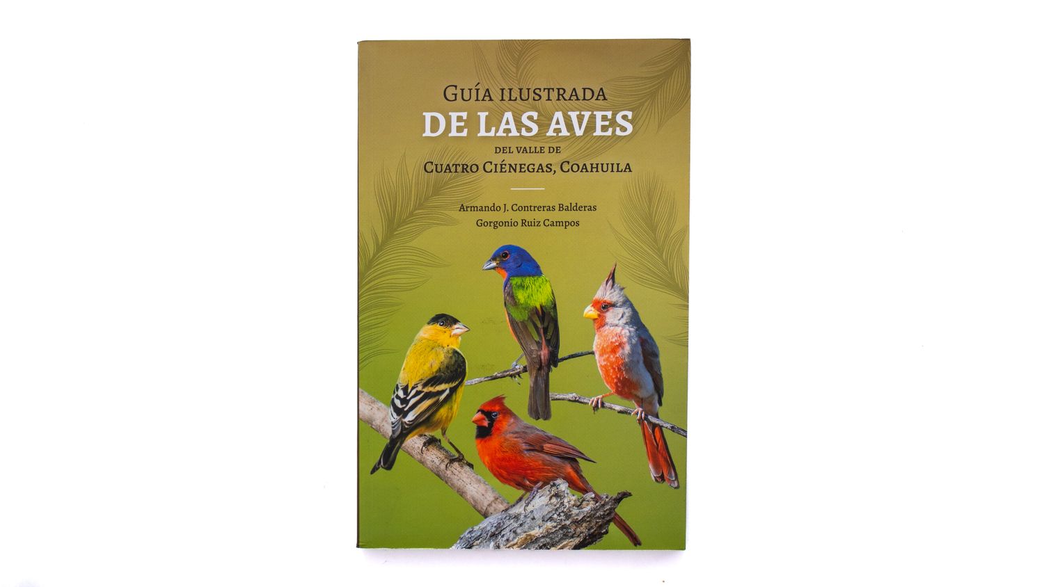 Guía ilustrada de las aves del Valle de Cuatrociénegas, Coahuila Armando Contreras Balderas y Gorgonio Ruiz Campos: Guía ilustrada de las aves del Valle de Cuatrociénegas, Coahuila, Portada. Quintanilla Ediciones