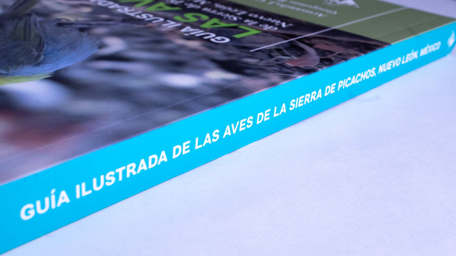 Armando Contreras Balderas y Gorgonio Ruiz Campos: Guía ilustrada de las aves de la Sierra de Picachos, Nuevo León, México. Lomo. Quintanilla Ediciones