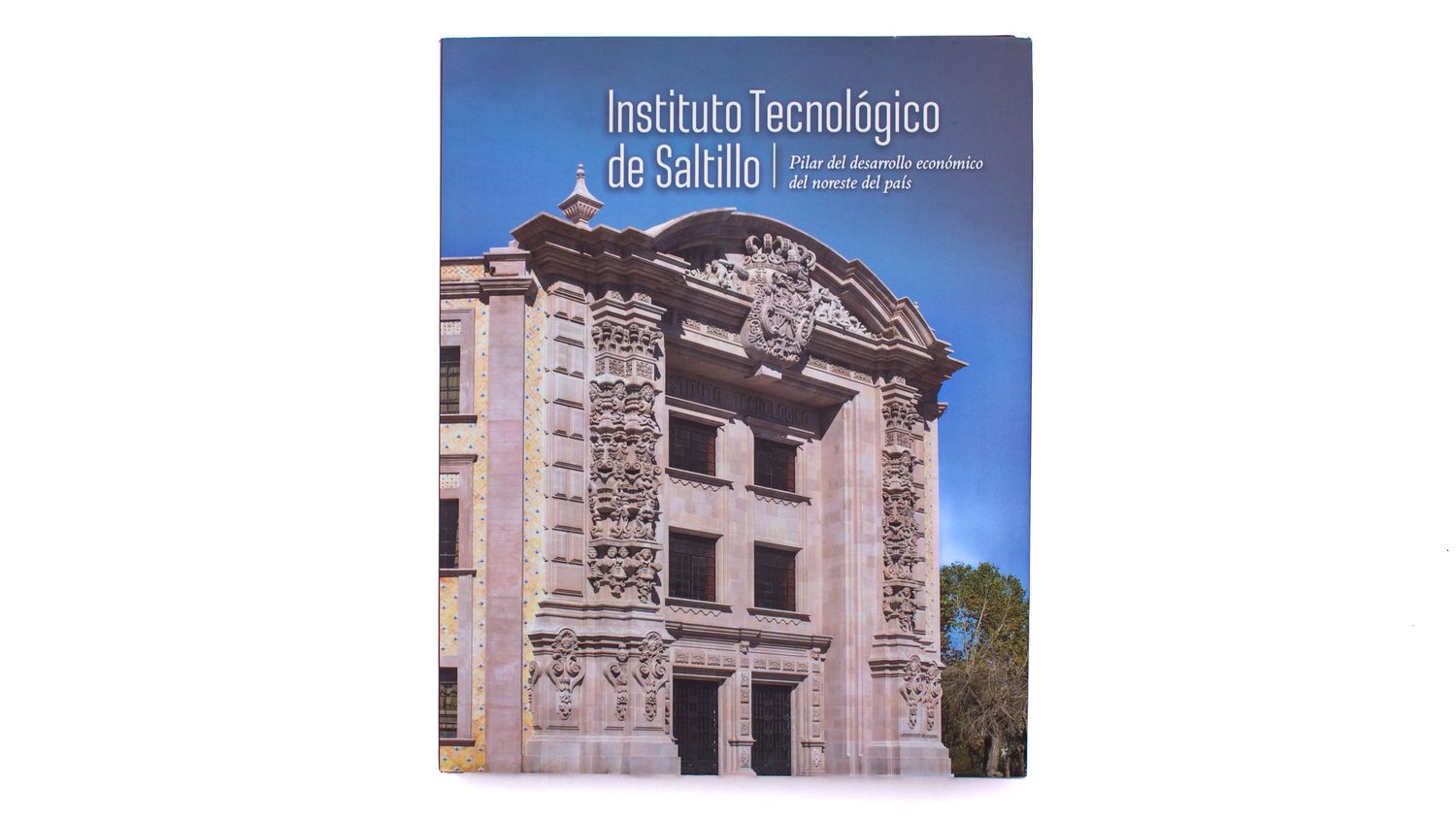 María Isabel Reyna Ibargüengoitia: Instituto Tecnológico de Saltillo. Portada. Quintanilla Ediciones
