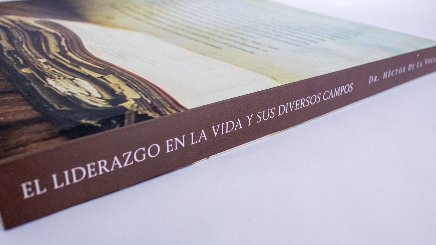 Héctor de la Vega: El liderazgo en la vida y sus diversos campos. Lomo. Quintanilla Ediciones