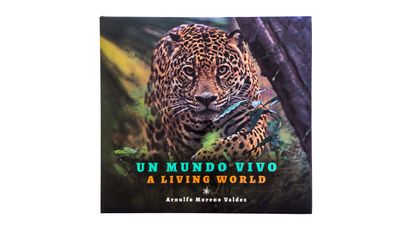 Un mundo vivo Arnulfo Moreno Valdez: Un mundo vivo. Portada. Quintanilla Ediciones