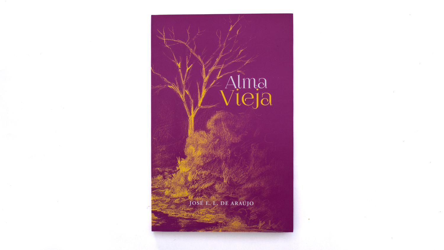 José Eduardo Loureiro De Araújo: Alma vieja. Portada. Quintanilla Ediciones