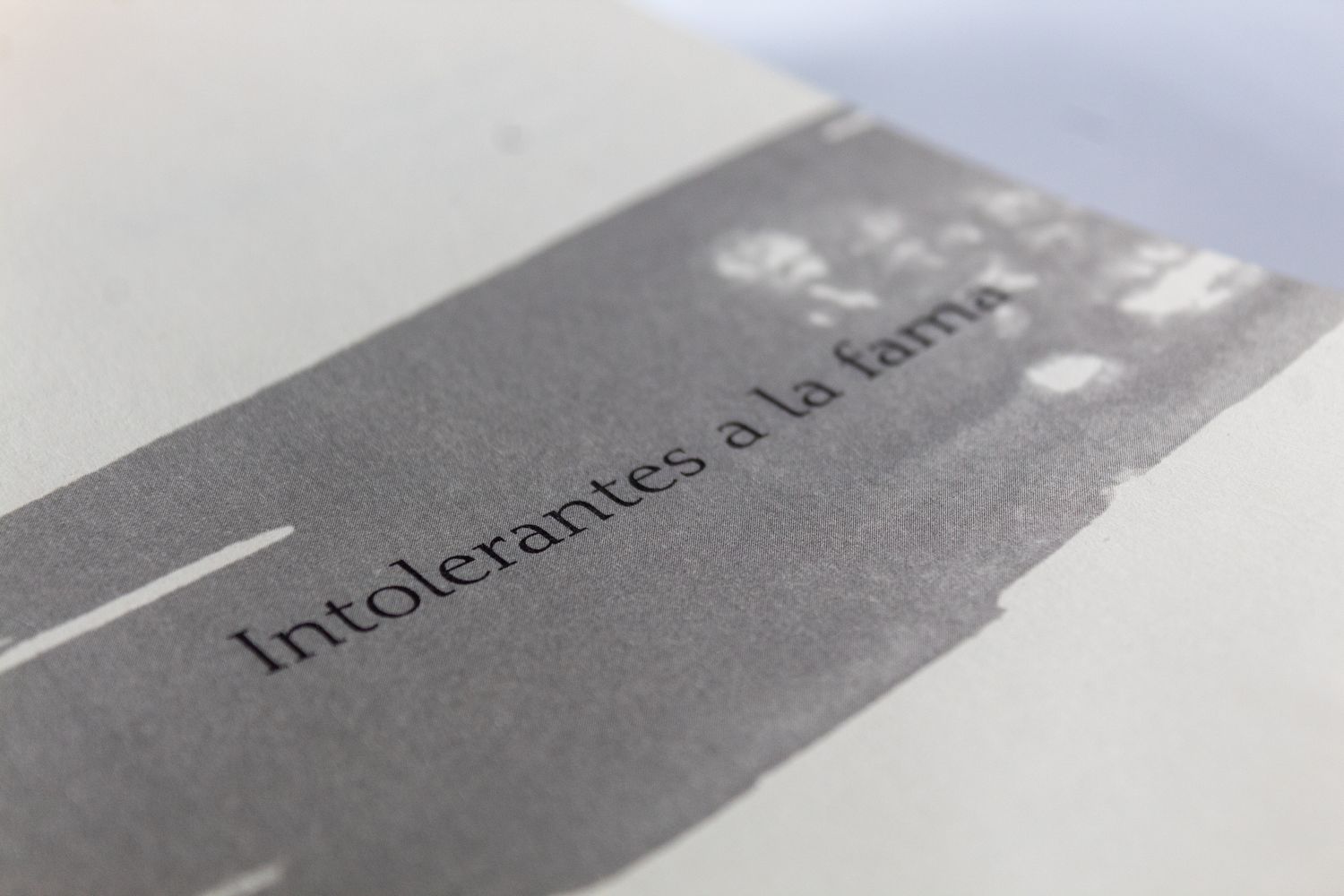 Jesé Avendaño: Intolerantes a la fama. Quintanilla ediciones. Título