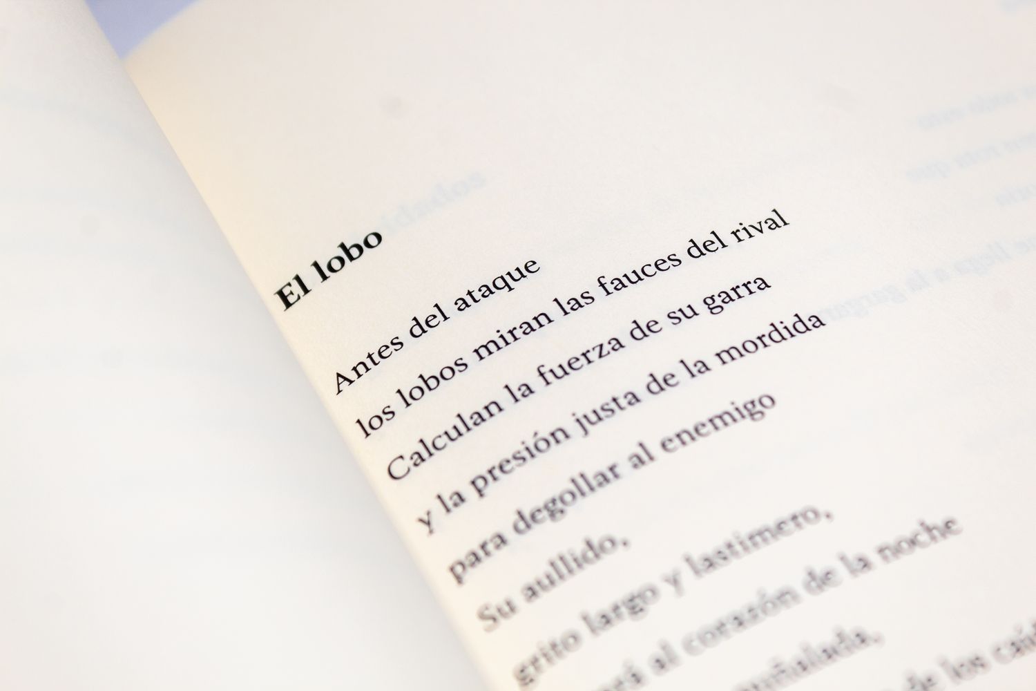  Eugenia Flores Soria: Plegaria de la aurora, Quintanilla Ediciones, Detalle