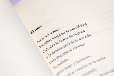  Eugenia Flores Soria: Plegaria de la aurora, Quintanilla Ediciones, Detalle