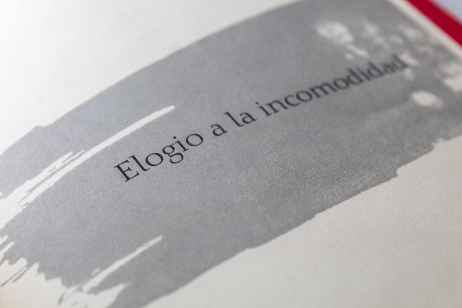 Mercedes Luna Fuentes_Elogio a la incomodidad_Quintanilla Ediciones_Título