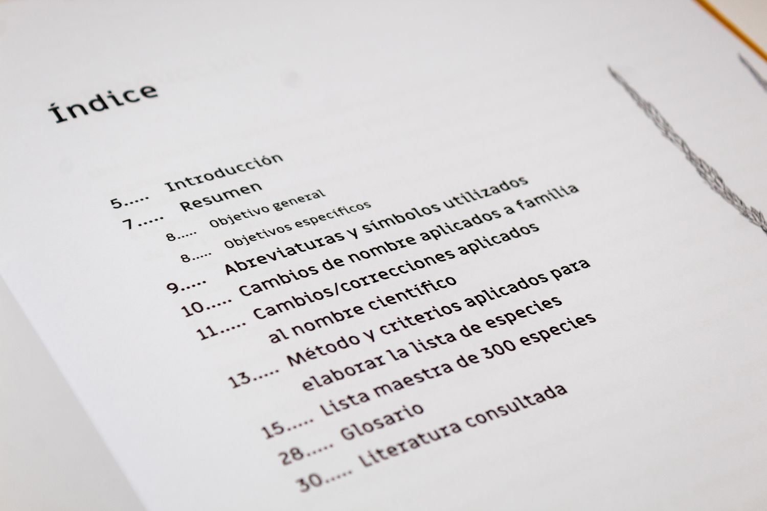 Ricardo Vásquez Aldape, José Ángel Villarreal Quintanilla, Jesús Valdés Reyna_Plantas de Pastizales del norte de méxico. Lista maestra_Quintanilla Ediciones_Índice