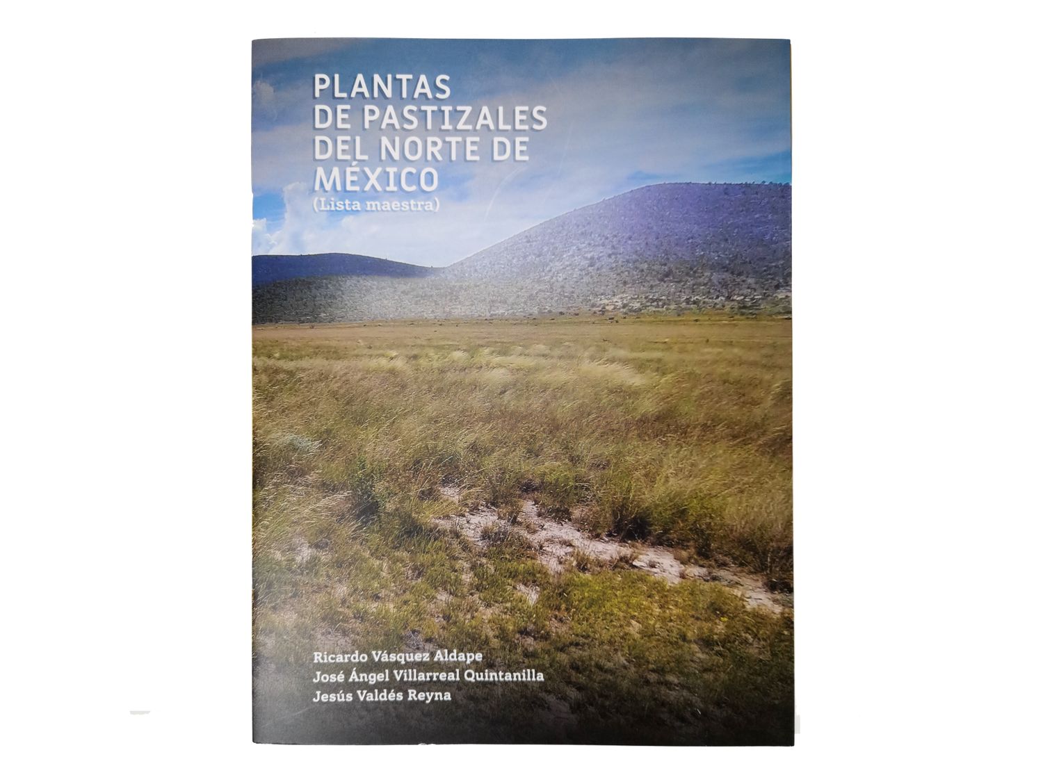 Ricardo Vásquez Aldape, José Ángel Villarreal Quintanilla, Jesús Valdés Reyna_Plantas de Pastizales del norte de méxico. Lista maestra_Quintanilla Ediciones_Portada