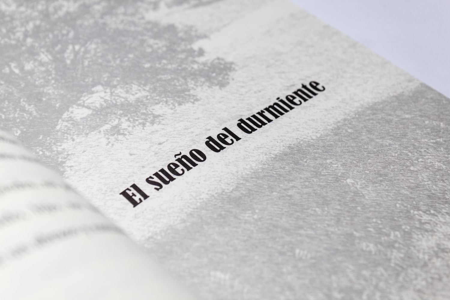 Luis Eduardo Mendoza López_Viaje al corazón de mi hijo_Quintanilla Ediciones_Capítulo