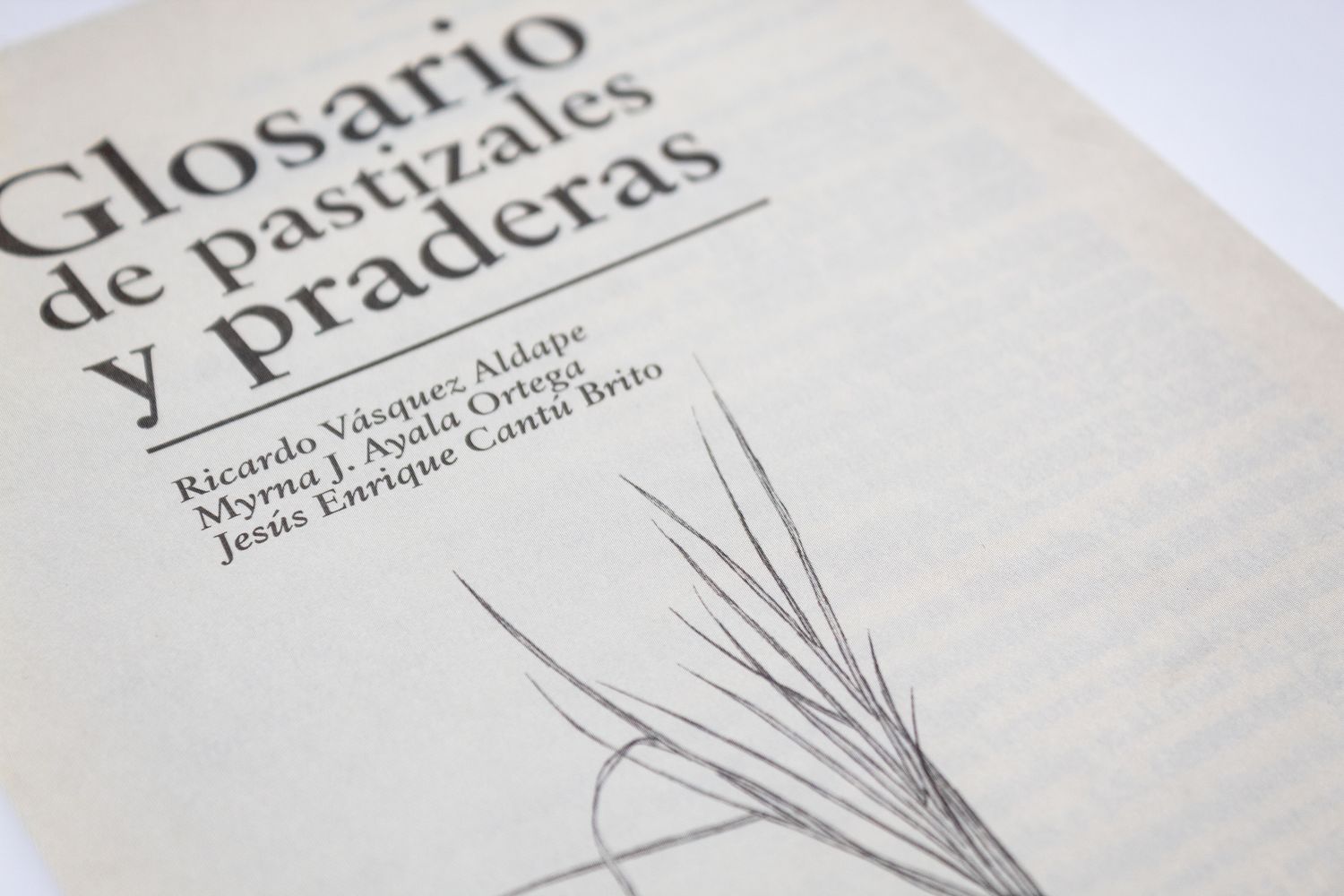 Glosario de pastizales y praderas_Ricardo Vázques Aldape_Quintanilla Ediciones_Título