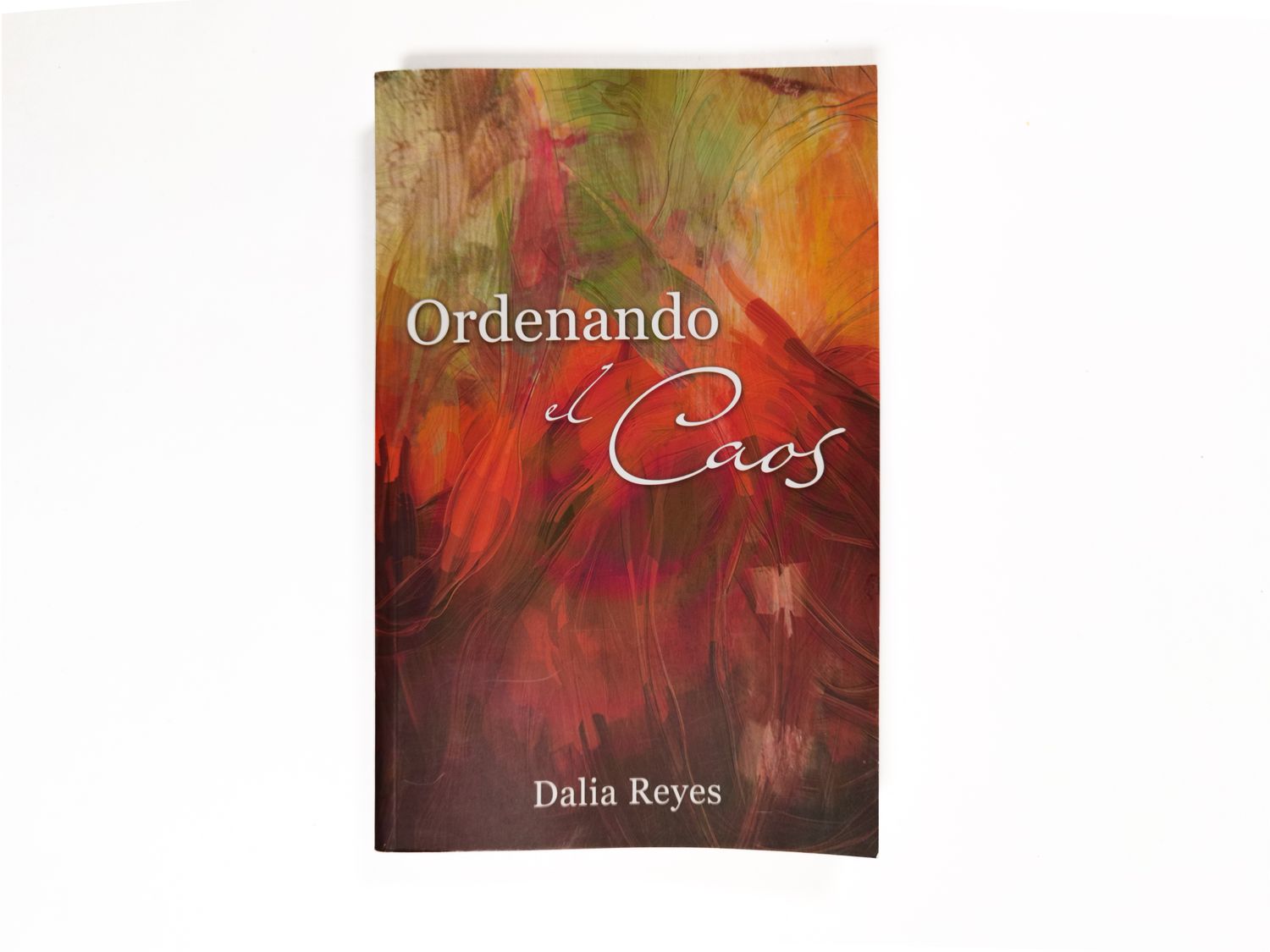 Ordenando el caos Dalia Reyes_Ordenando el caos_Quintanilla Ediciones_Portada