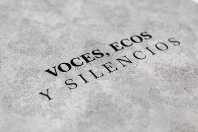 Voces, ecos y silencios_Irene Aguirre Arista_Quintanilla Ediciones_Título