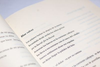 José Luis Castillo Romero_ Volar la mente_Quintanilla Ediciones_Detalle