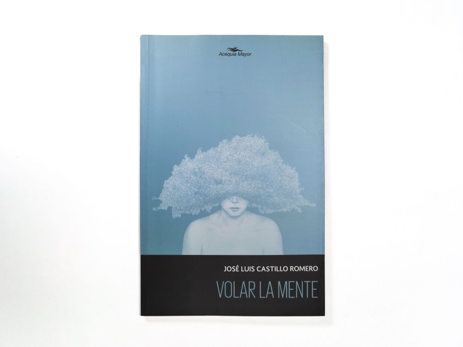 José Luis Castillo Romero_ Volar la mente_Quintanilla Ediciones_Portada