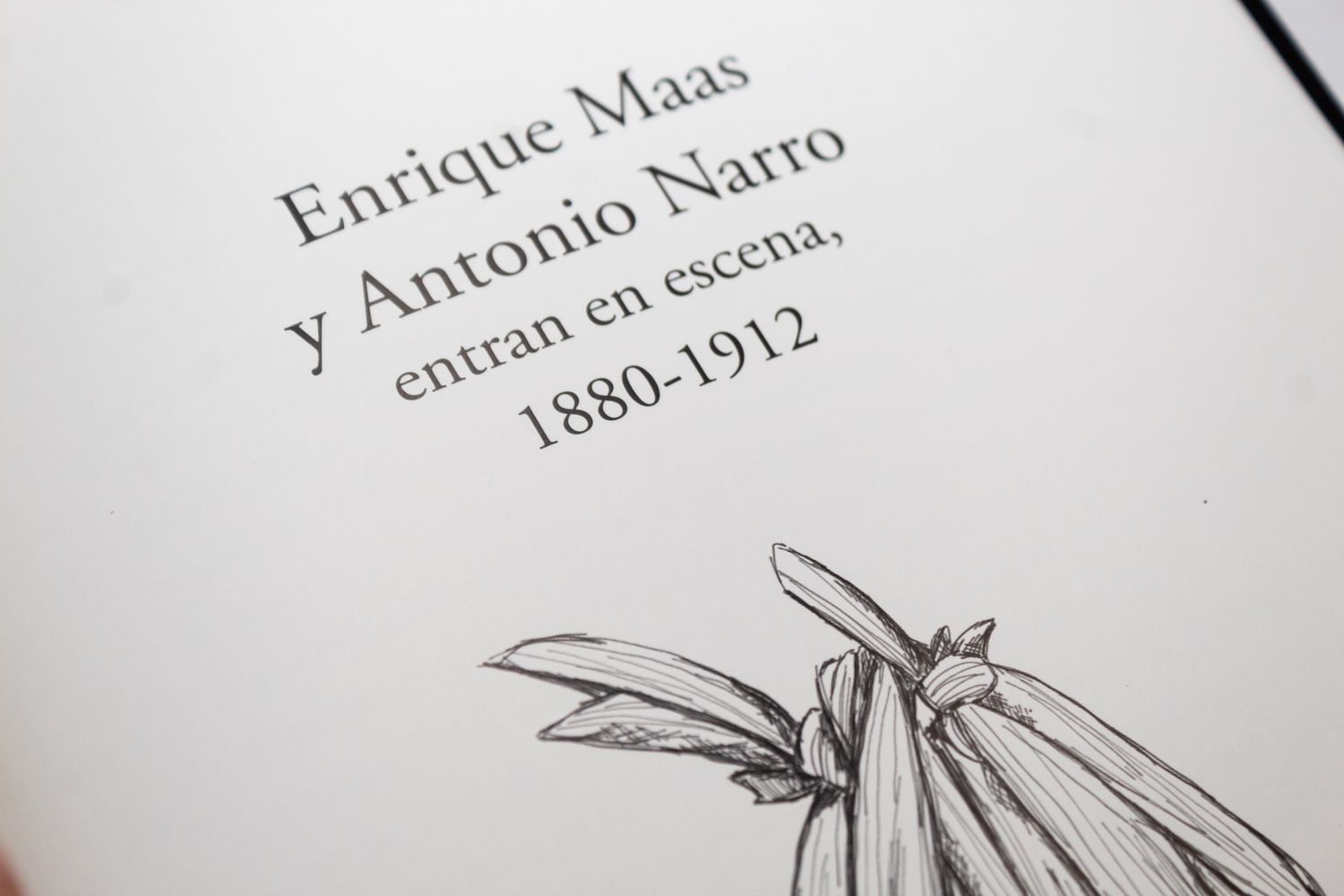 La antigua hacienda de Buenavista_Arturo Eduardo Villarreal Reyes_Quintanilla Ediciones_Sección