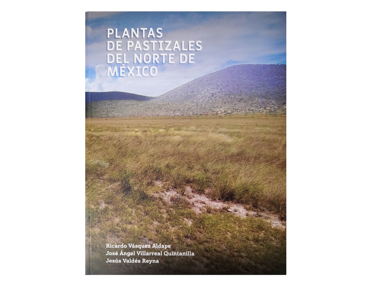 Plantas de pastizales del norte de México_Ricardo Vásquez, José Villarreal, Jesús Valdés_Quintanilla Ediciones_Portada