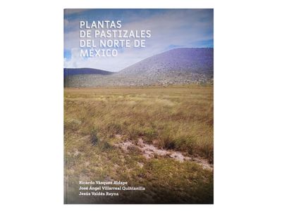 Plantas de pastizales del norte de México_Ricardo Vásquez, José Villarreal, Jesús Valdés_Quintanilla Ediciones_Portada