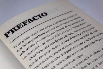 quizás estés yendo a casa_Quintanilla Ediciones_Detalle2