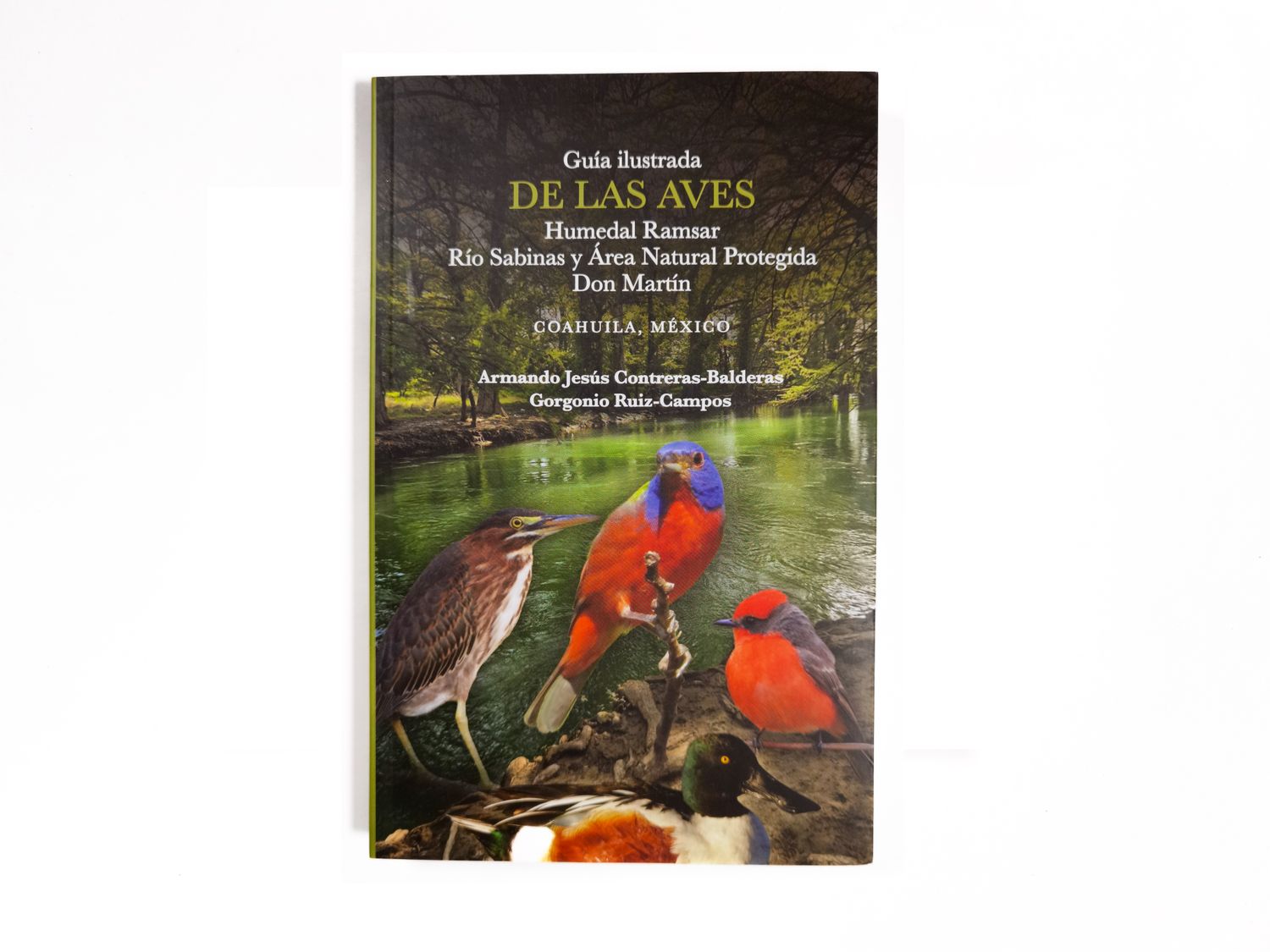 Guía ilustrada de las aves Humedal Ramsar Río Sabinas y Área Natural Protegida Don Martín Coahuila, México_Portada