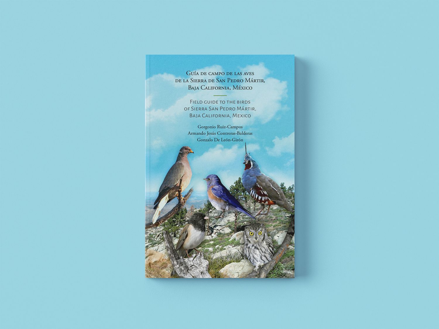 Guía de campo de las aves de la Sierra de San Pedro Mártir, Baja California