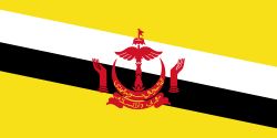 Brunei Flag (210D Nylon)